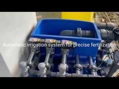 hệ thống tưới tiêu và bón phân hoàn chỉnh