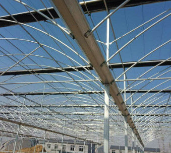 Galvanized Steel Skeleton Glass Greenhouse With Photovoltaic Panel