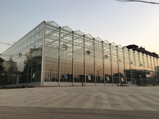 Galvanized Steel Skeleton Glass Greenhouse With Photovoltaic Panel