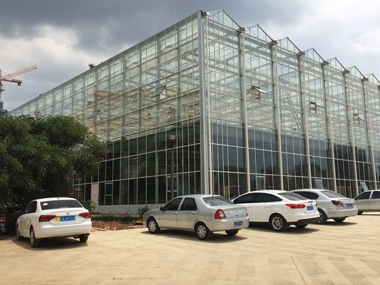 Galvanized Steel Skeleton Glass Greenhouse With Photovoltaic Panel