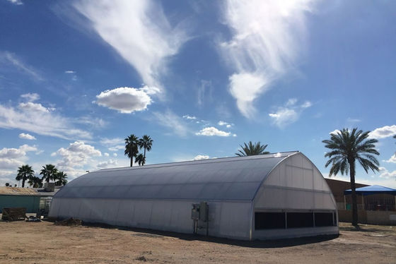 Nhôm kẽm bọc nhựa phim nhà kính UV bảo vệ truyền ánh sáng chống lão hóa chống nhỏ giọt